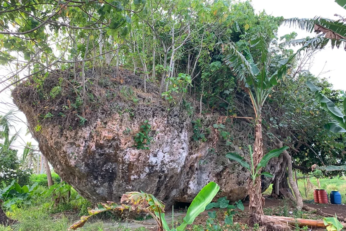pedregulho_tonga.webp.webp
